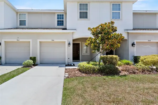 7046 Grand Elm Drive, RIVERVIEW, FL 33578