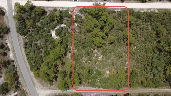 346 Blue Moon Ave, LAKE PLACID, FL 33852