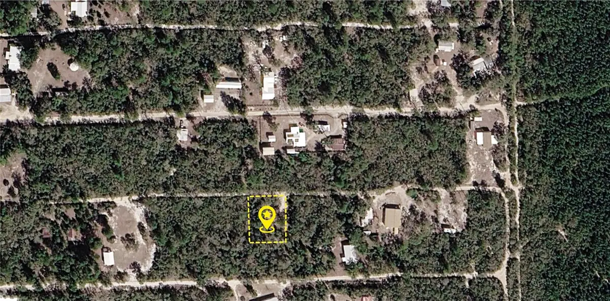 XX NE 234th Lane, Fort McCoy, FL 32134 - #1