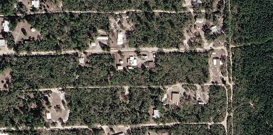 XX NE 234th Lane, Fort McCoy, FL 32134 - #2