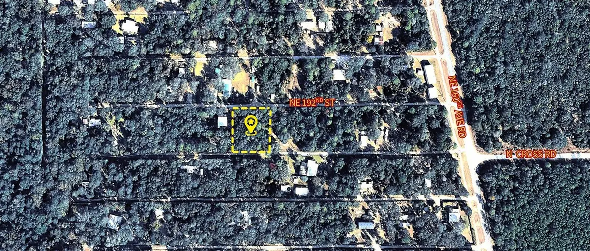 X NE 192nd Street, Fort McCoy, FL 32134 - #1