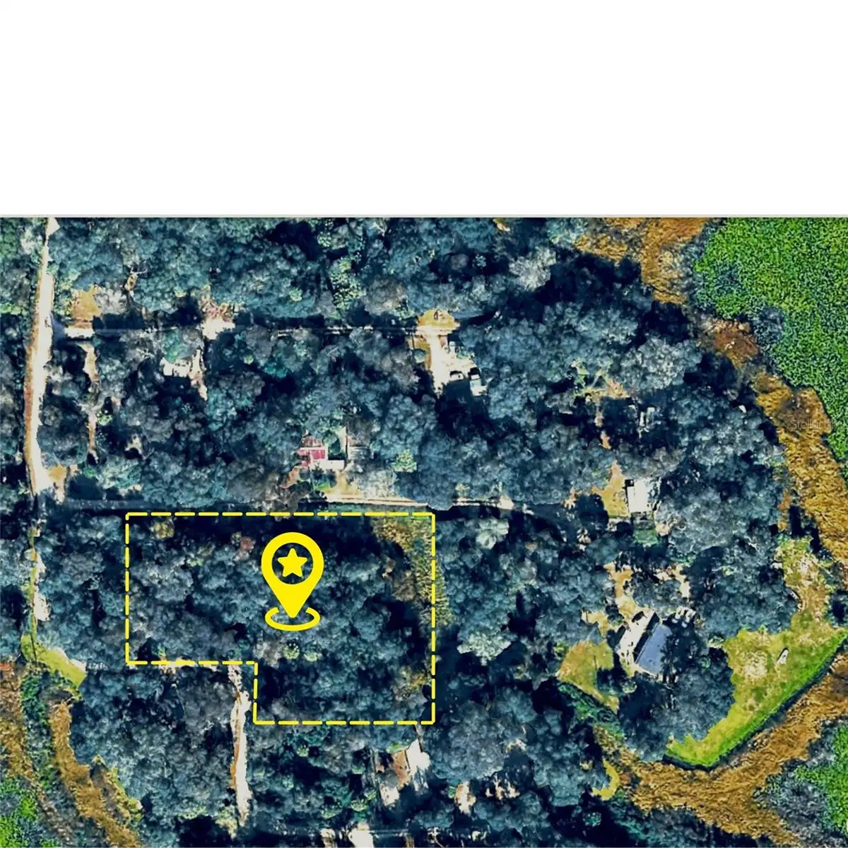 X NE 31st Terrace, Citra, FL 32113 - #1