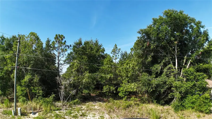 Bahia Court Track, Ocala, FL 34472 - #2