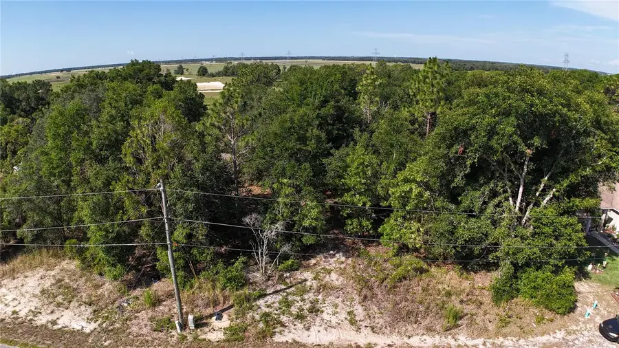 Bahia Court Track, Ocala, FL 34472 - #3
