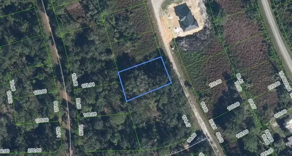 1030 Redbird Street, LAKE PLACID, FL 33852