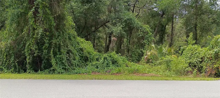 1876 Blackwelder Road, De Leon Springs, FL 32130 - #2