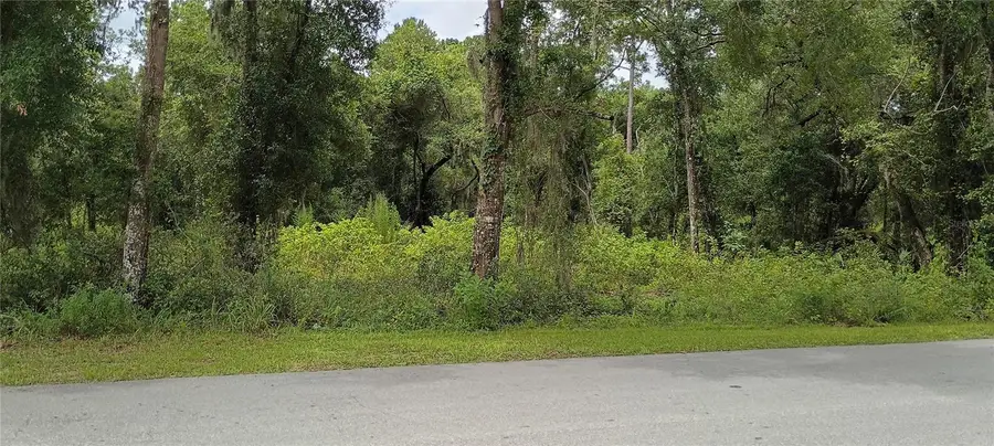 1876 Blackwelder Road, De Leon Springs, FL 32130 - #3