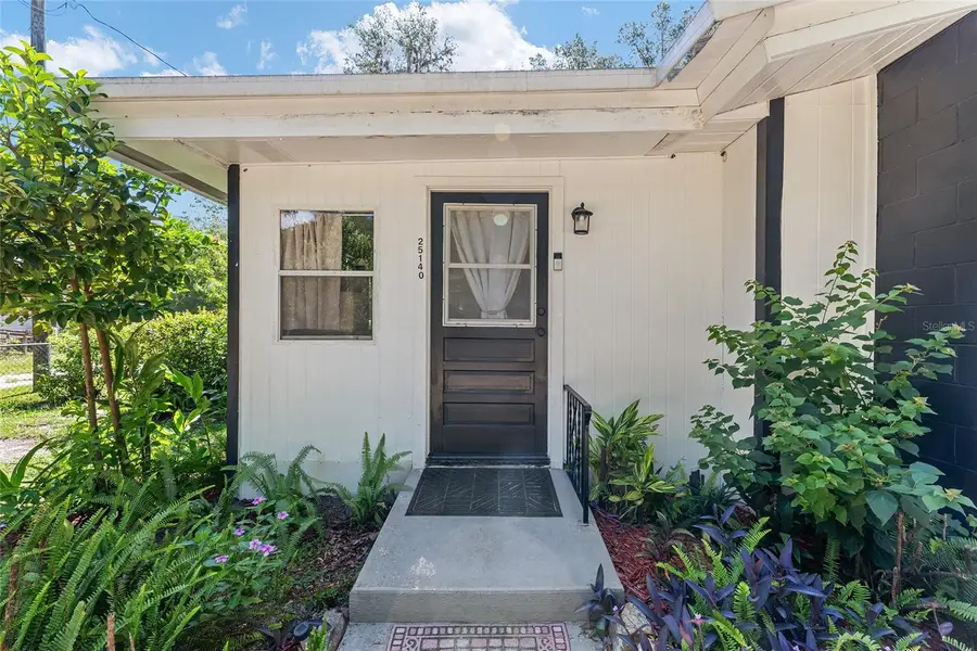 25140 NE 133rd Place, Salt Springs, FL 32134 - #2