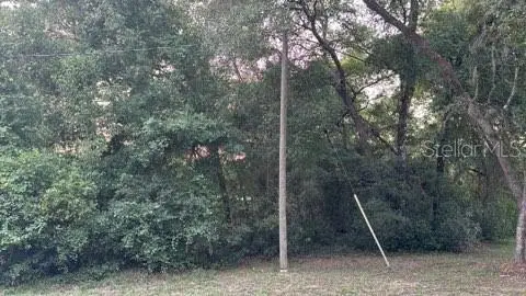 SE 11th Street, Silver Springs, FL 34488 - #1