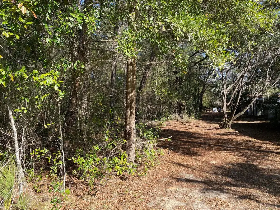2085 SW Algiers Court, Dunnellon, FL 34431 - #3