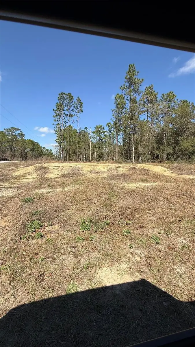 259 NW Redwood Drive, Dunnellon, FL 34431 - #2