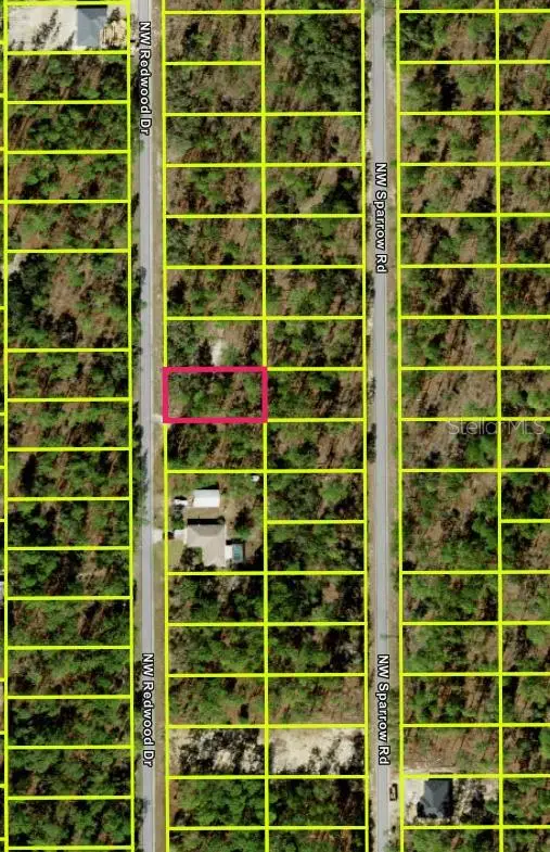 259 NW Redwood Drive, Dunnellon, FL 34431 - #3