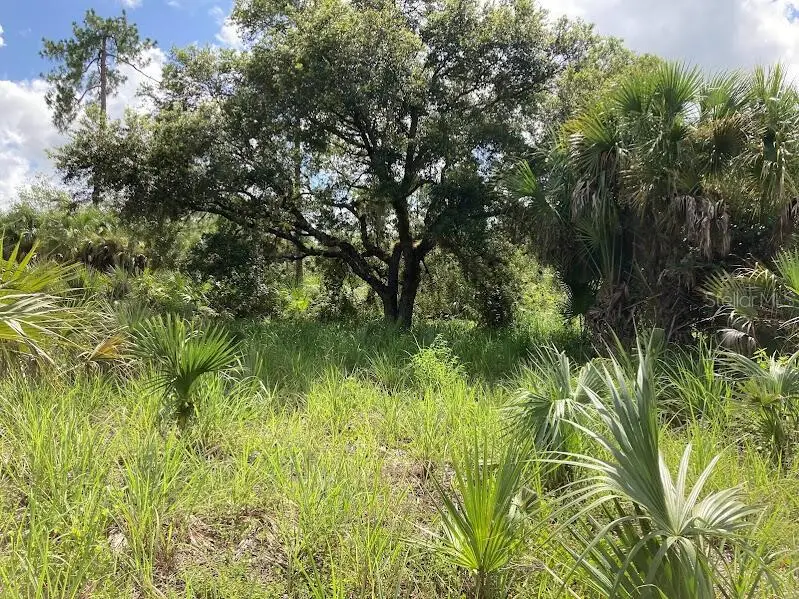 4421 24th Avenue Se, Naples, FL 34117 - #1
