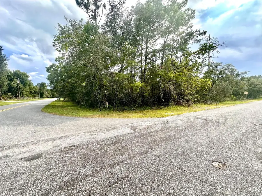 Saffron Avenue, Eustis, FL 32736 - #3