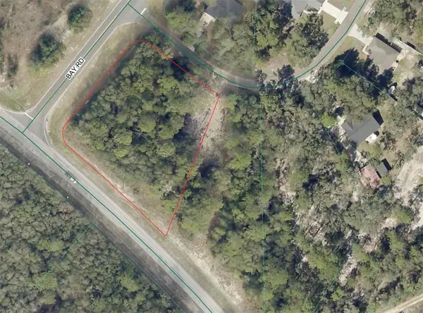 3 Bay Drive, OCKLAWAHA, FL 32179