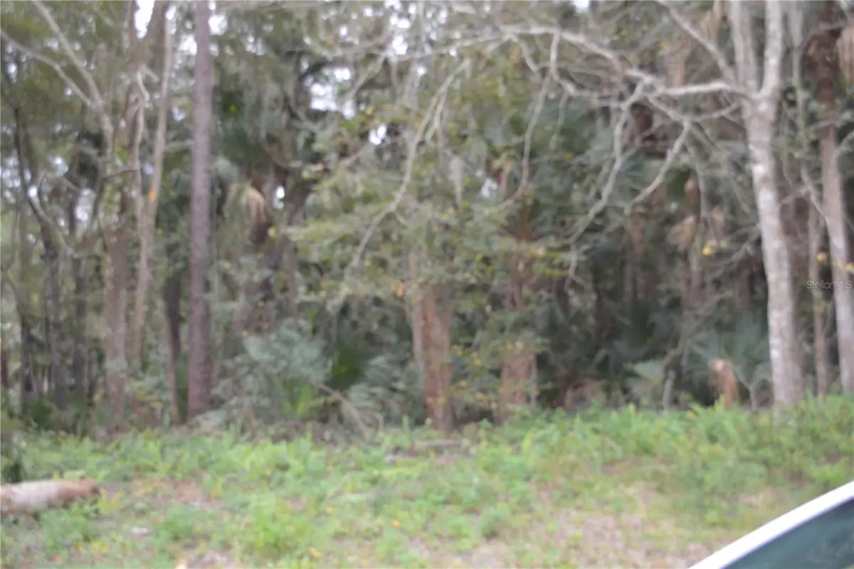 0 Lincoln Street, Sanford, FL 32771 - #1