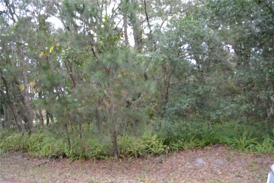 0 Lincoln Street, Sanford, FL 32771 - #3