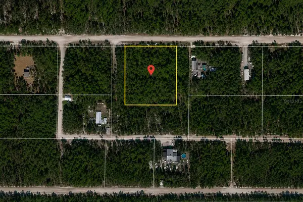 NE 239th Street, FORT MC COY, FL 32134