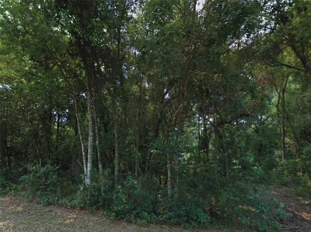 10534 E Waxwing Lane, Floral City, FL 34436 - #1