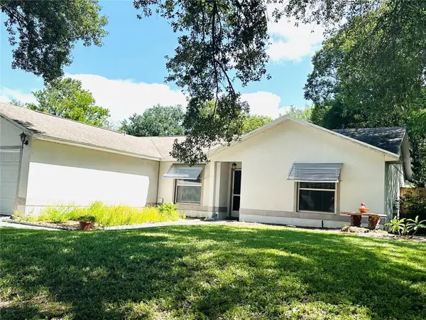 10628 Lake Ralph Drive, CLERMONT, FL 34711