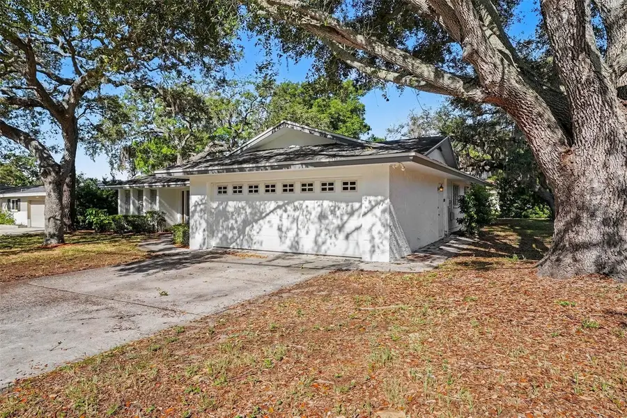 209 15th Street, Palm Harbor, FL 34683 - #3