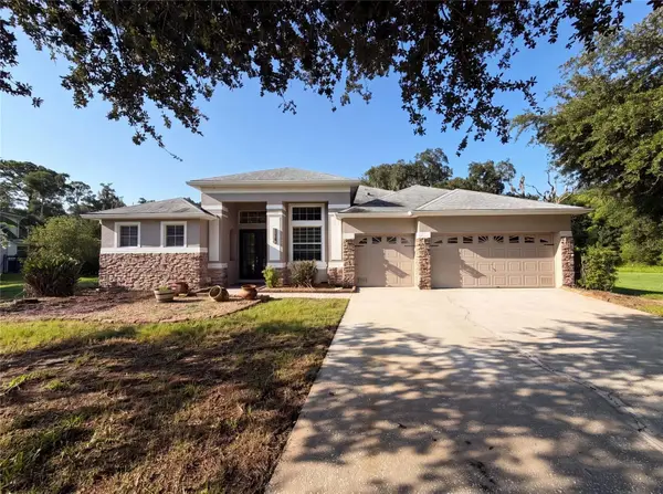 3100 Conrad Court, KISSIMMEE, FL 34744