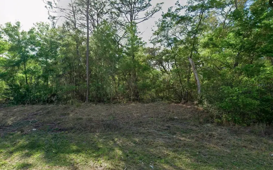10814 N Hatari Drive, Citrus Springs, FL 34434 - #2