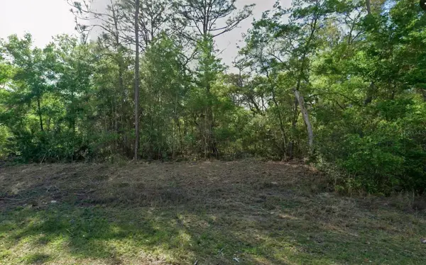 10830 N Hatari Drive, CITRUS SPRINGS, FL 34434