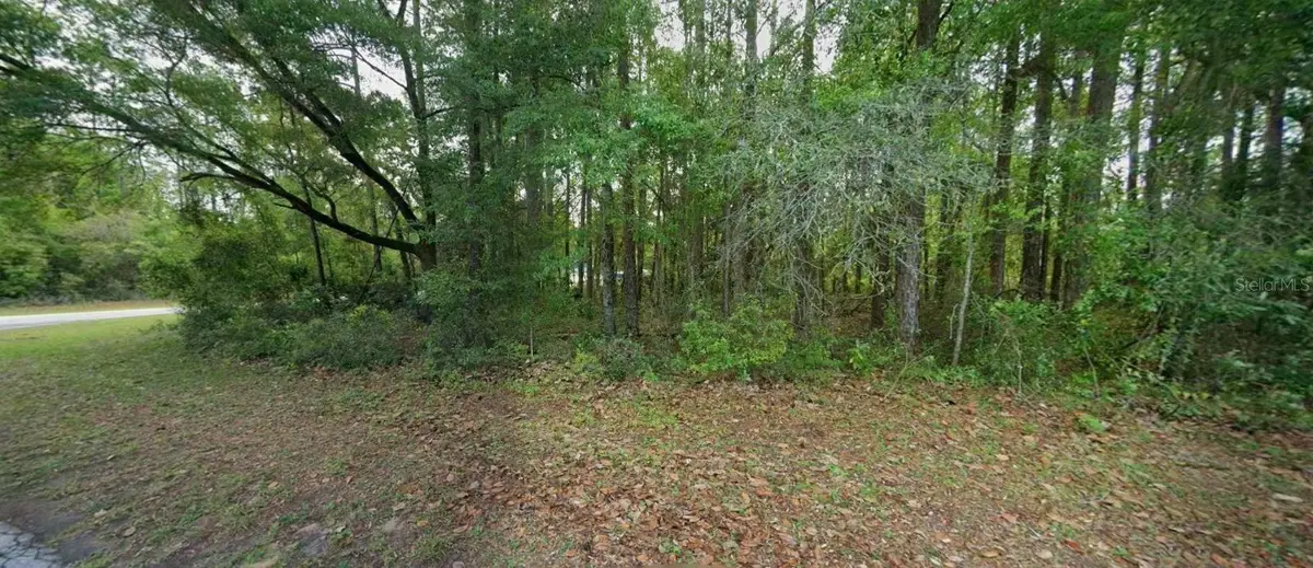 10181 N Gardner Way, Citrus Springs, FL 34434 - #1