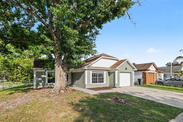 301 Regal Park Drive, VALRICO, FL 33594