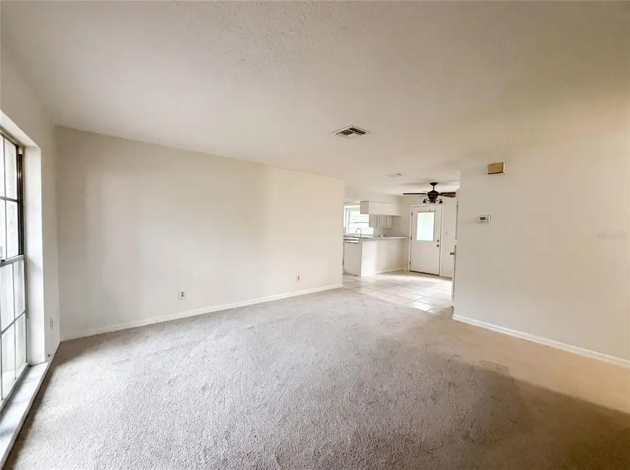 4209 E Alene Drive, Tampa, FL 33617 - #3
