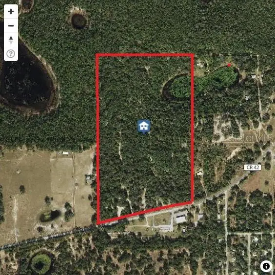 24601 SE Highway 42, Umatilla, FL 32784 - #1