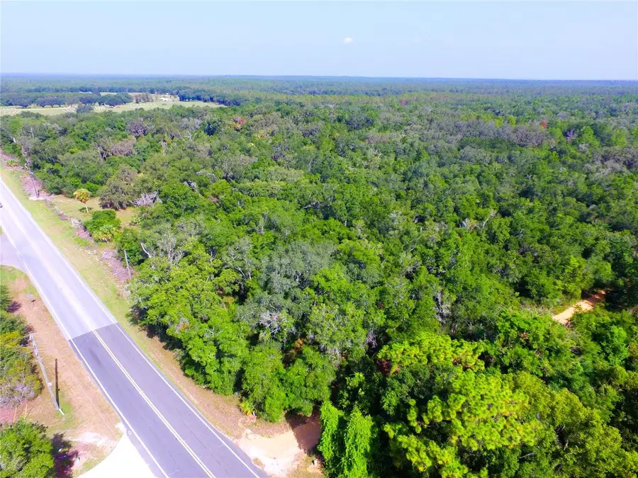 24601 SE Highway 42, Umatilla, FL 32784 - #2