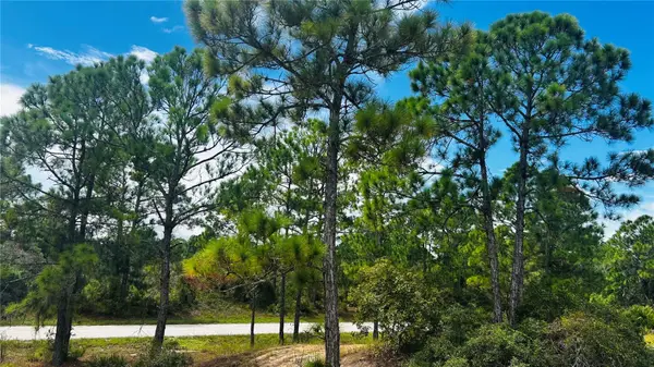 486 Dreamland Drive, LAKE PLACID, FL 33852