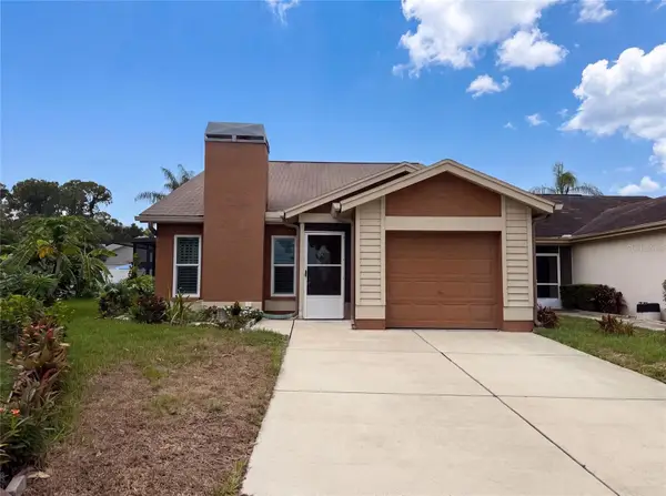 11648 Hidden Hollow Circle, TAMPA, FL 33635