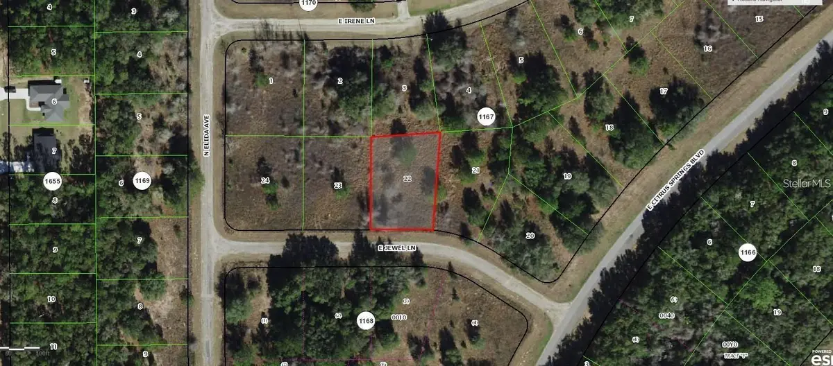 599 E Jewel Lane, Dunnellon, FL 34434 - #1