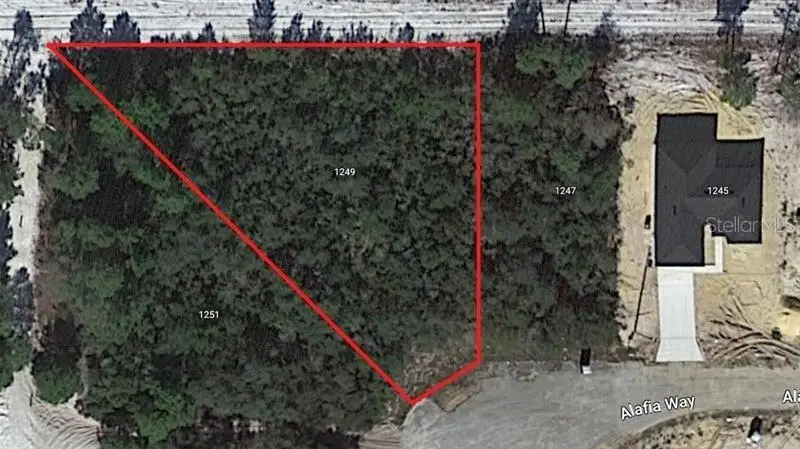 1249 Alafia Way, Poinciana, FL 34759 - #3