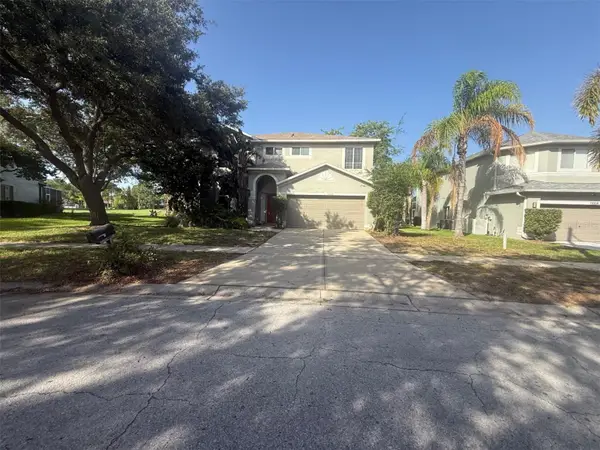 11006 Sailbrooke Drive, RIVERVIEW, FL 33579