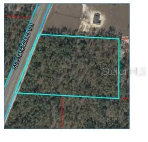 Se State Road 121, Morriston, FL 32668 - #1