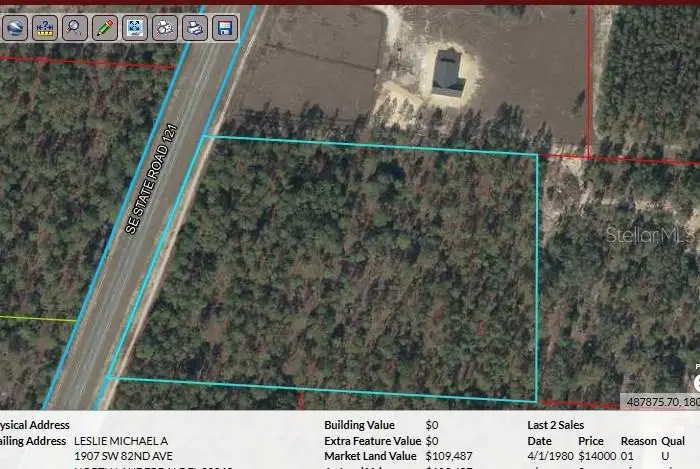 Se State Road 121, Morriston, FL 32668 - #2