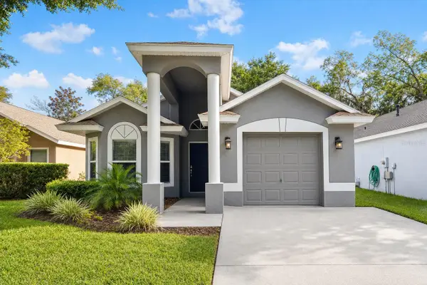 5834 Tanagerlake Road, LITHIA, FL 33547