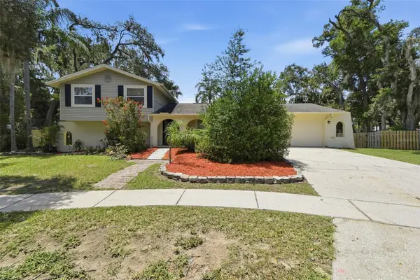 1200 Lake Valrico Lane, VALRICO, FL 33594