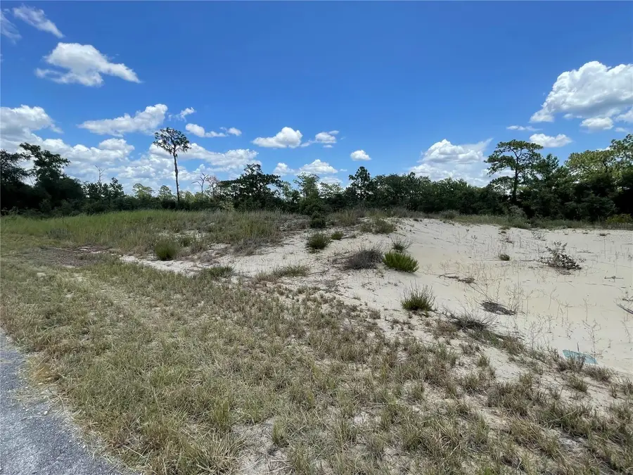 1342 Homosassa Court, Poinciana, FL 34759 - #3