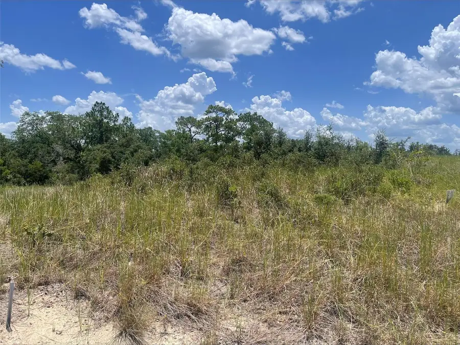 1340 Homosassa Court, Poinciana, FL 34759 - #3
