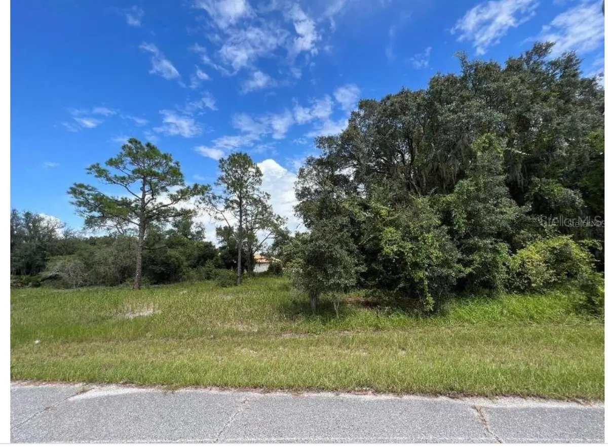 1336 Hillsborough Court, Poinciana, FL 34759 - #1
