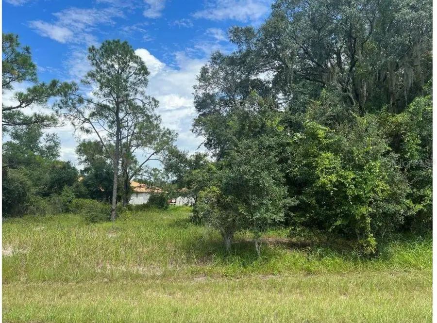 1336 Hillsborough Court, Poinciana, FL 34759 - #3