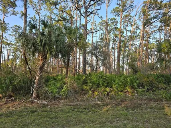 12522 Ranch Avenue, PORT CHARLOTTE, FL 33953