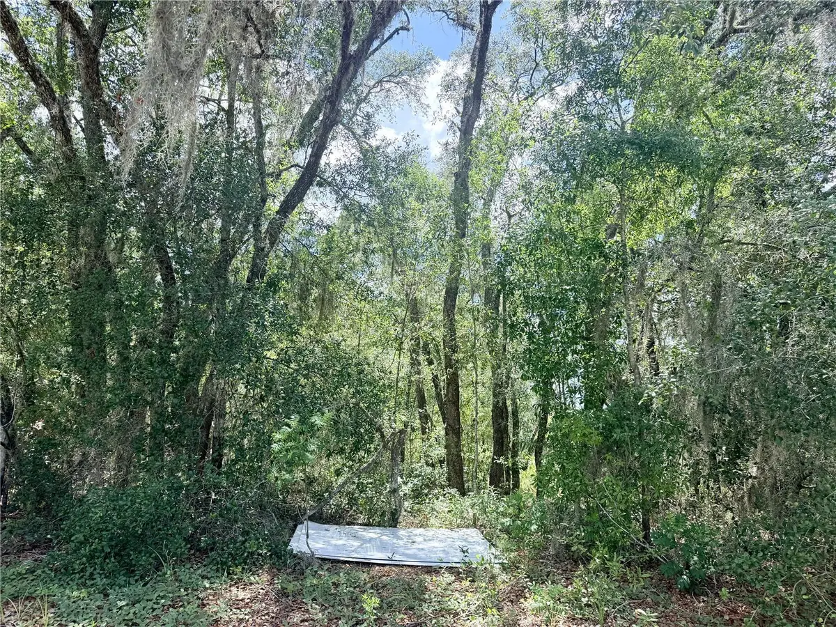 7932 N Elkcam Boulevard, Citrus Springs, FL 34433 - #1