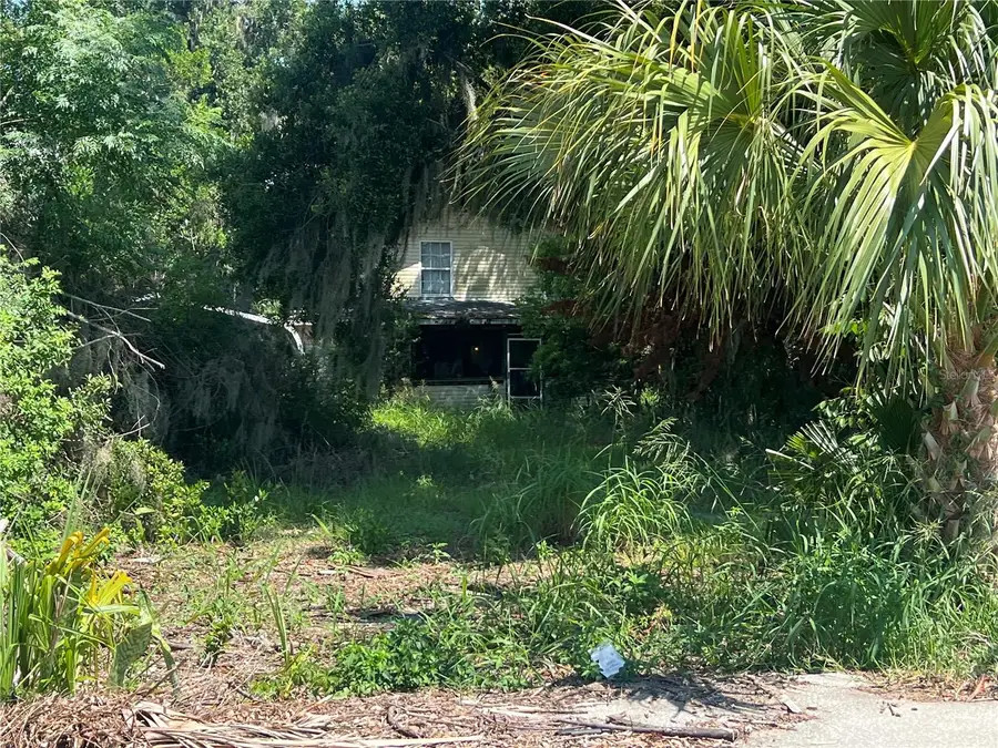 2979 S Grove Street, Eustis, FL 32726 - #2