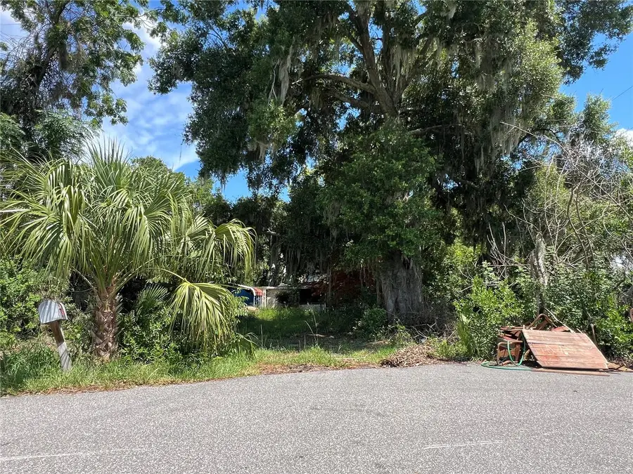 2979 S Grove Street, Eustis, FL 32726 - #3